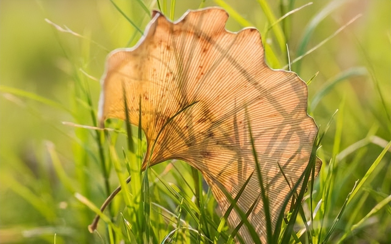 跟朋友闹矛盾了怎么和好,和朋友闹矛盾了怎么解决比较好
