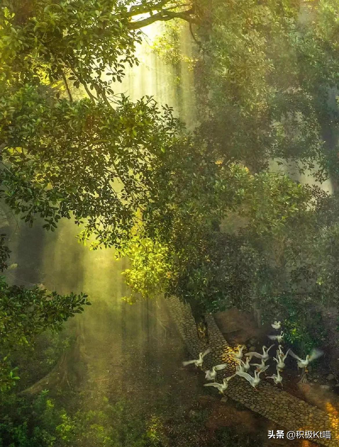 福建霞浦值得去旅游吗,福建霞浦小渔村旅游攻略