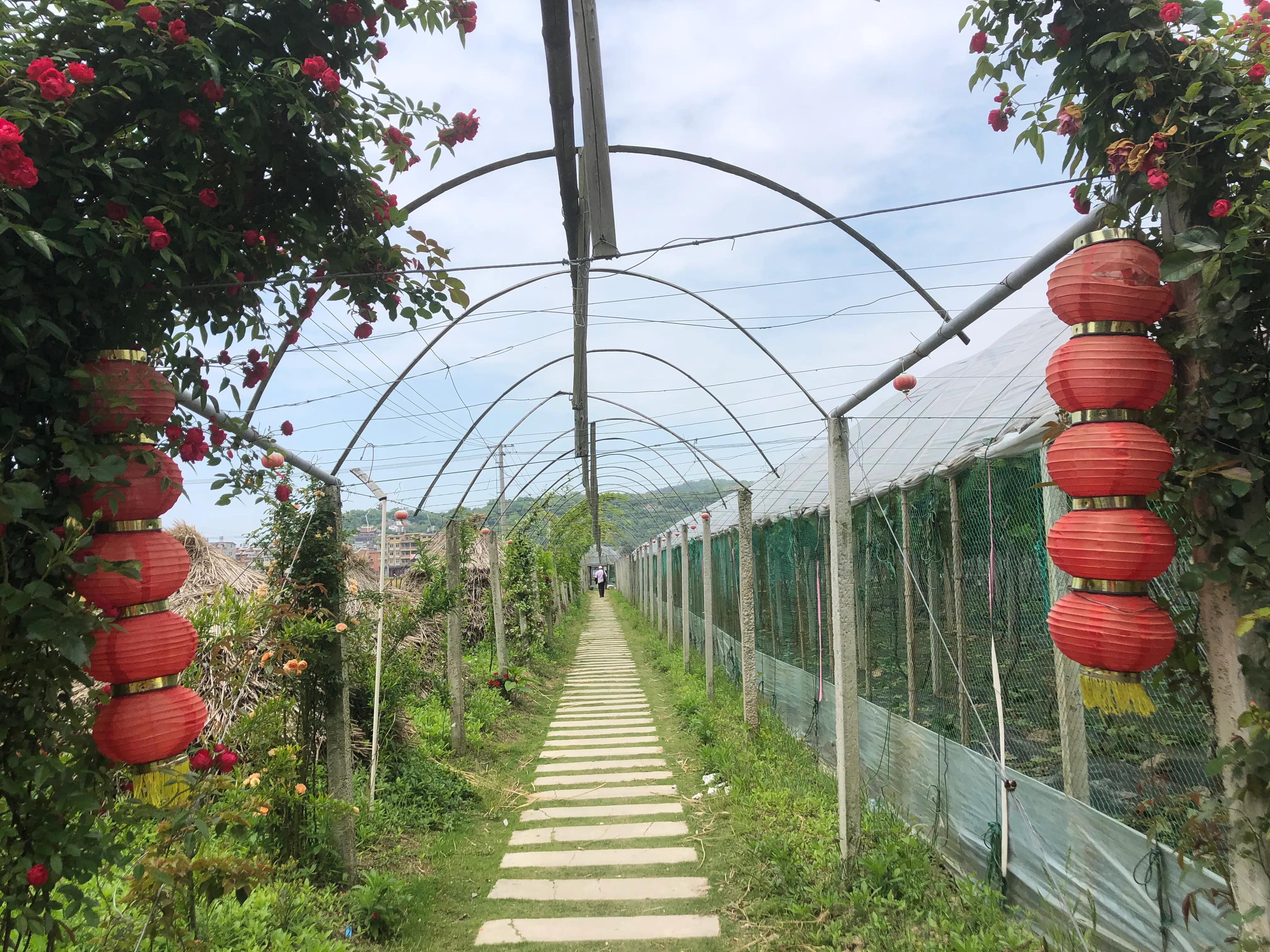 乐在其中自由自在,参与其中乐在其中意思