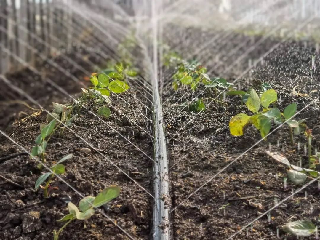 开远市经济发展,开远经济现状如何