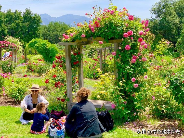 世界花园风景,世界花园