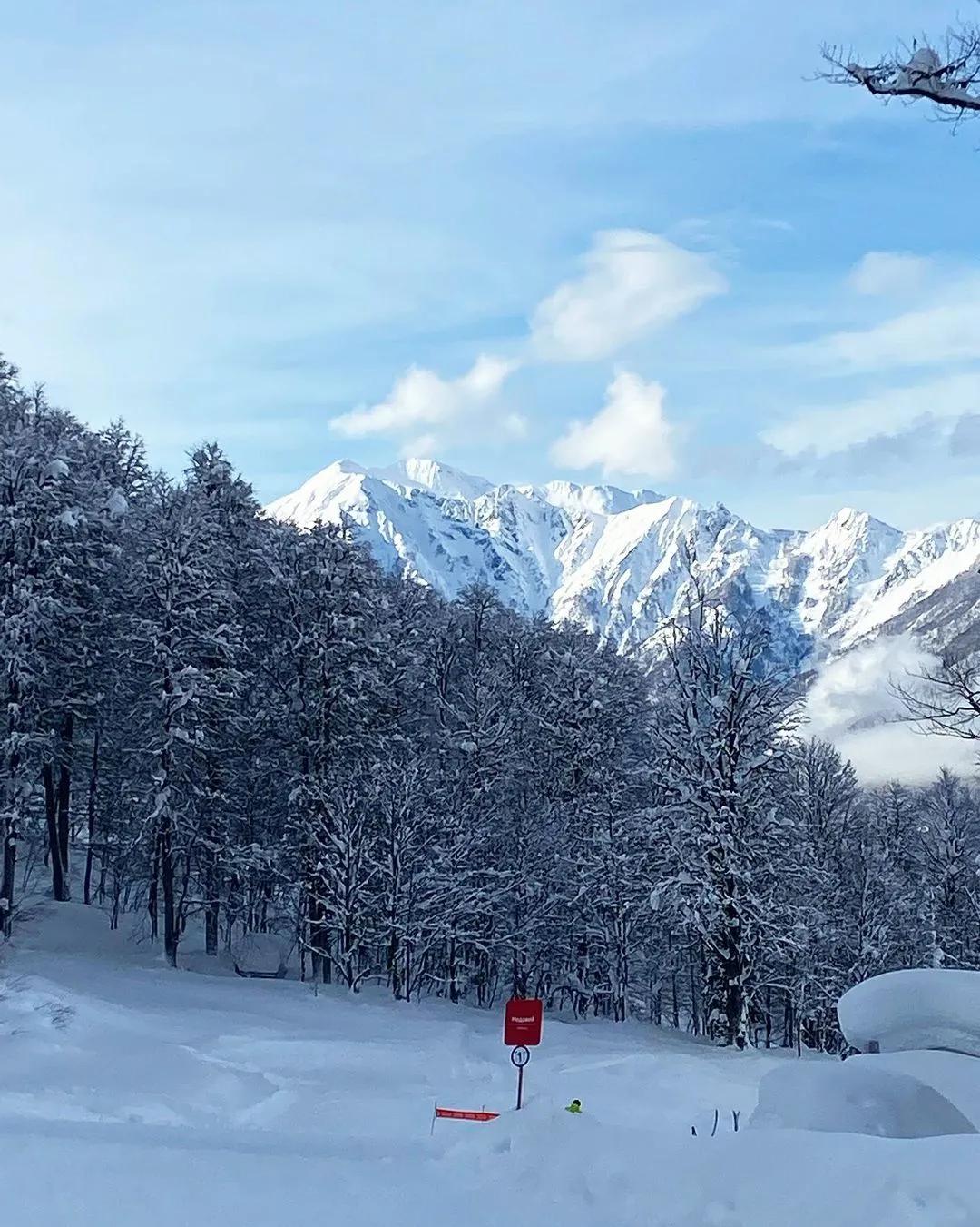 抢不到冰墩墩是什么梗,冬奥会冰墩墩2022