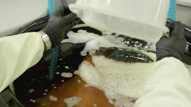 三文鱼水光真假分辨,哪种才是真正的三文鱼