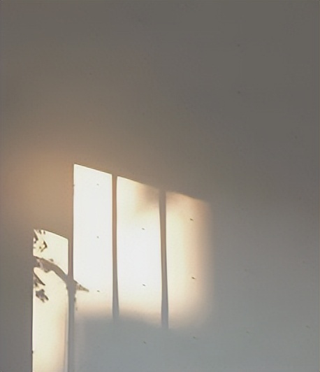 国货精华大概费用多少,国货超便宜精华