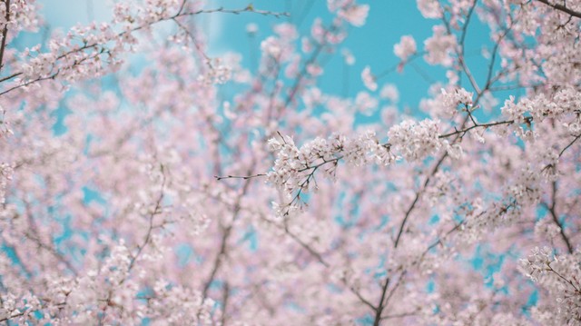 退休后的生活丰富多彩如何安排,退休后的生活最好状态