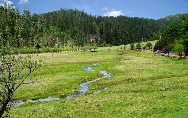 为什么西方人不吃猪肉爱吃牛肉,为什么外国人多吃牛肉少吃猪肉