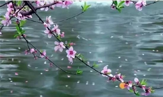 特别喜欢清代诗人袁枚的这首小诗,袁枚十首有名的诗春风