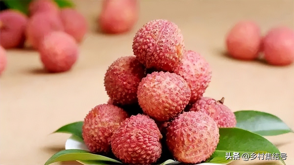 合作社新型农业主体典型案例,合作社农户发展经典模式