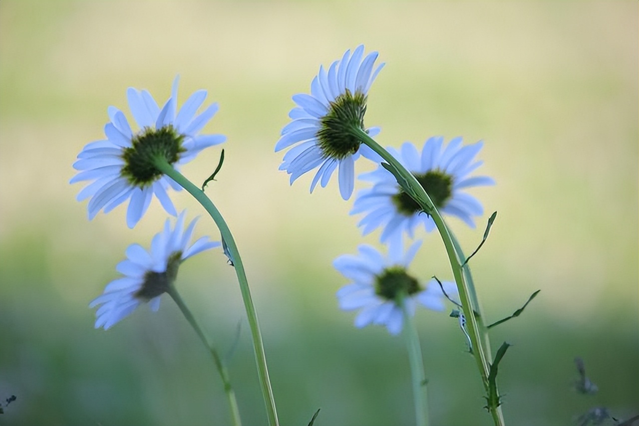 微信朋友不想联系了怎么处理,不想联系的人就算了吧
