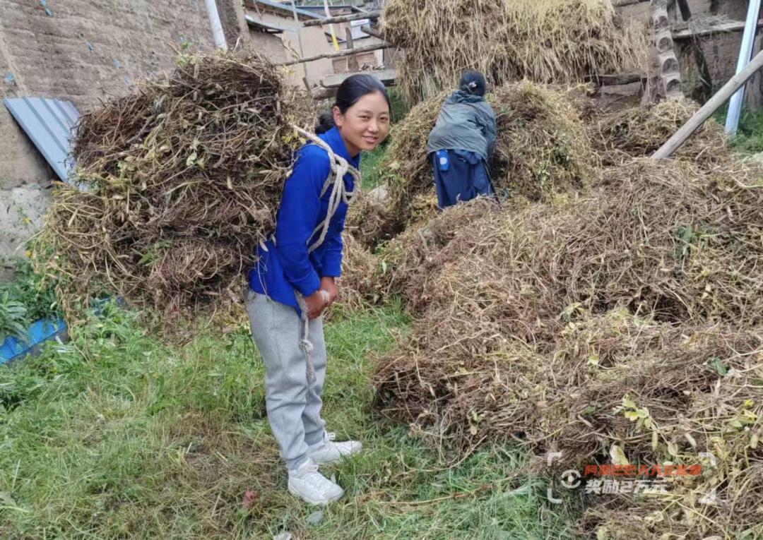 留守女孩收到录取通知书,藏族孩子收到入学通知书