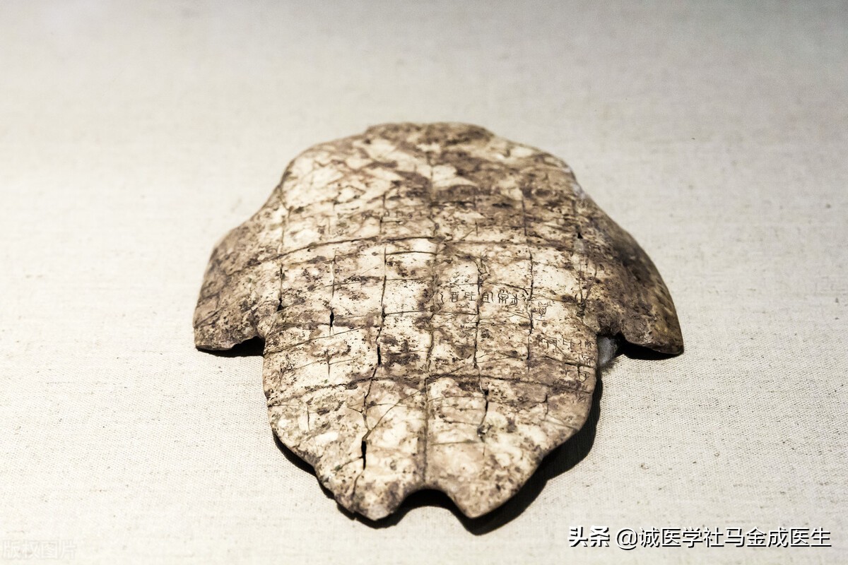 强肾健骨补气血方子,肾虚精亏的经典方子