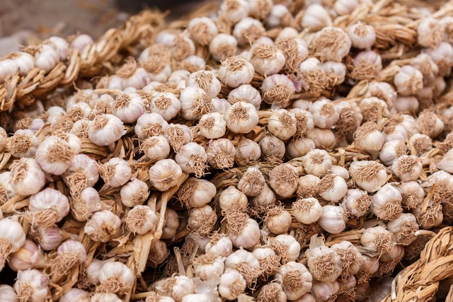 正宗紫皮大蒜哪个产地质量最好,中国出口大蒜最优质产地