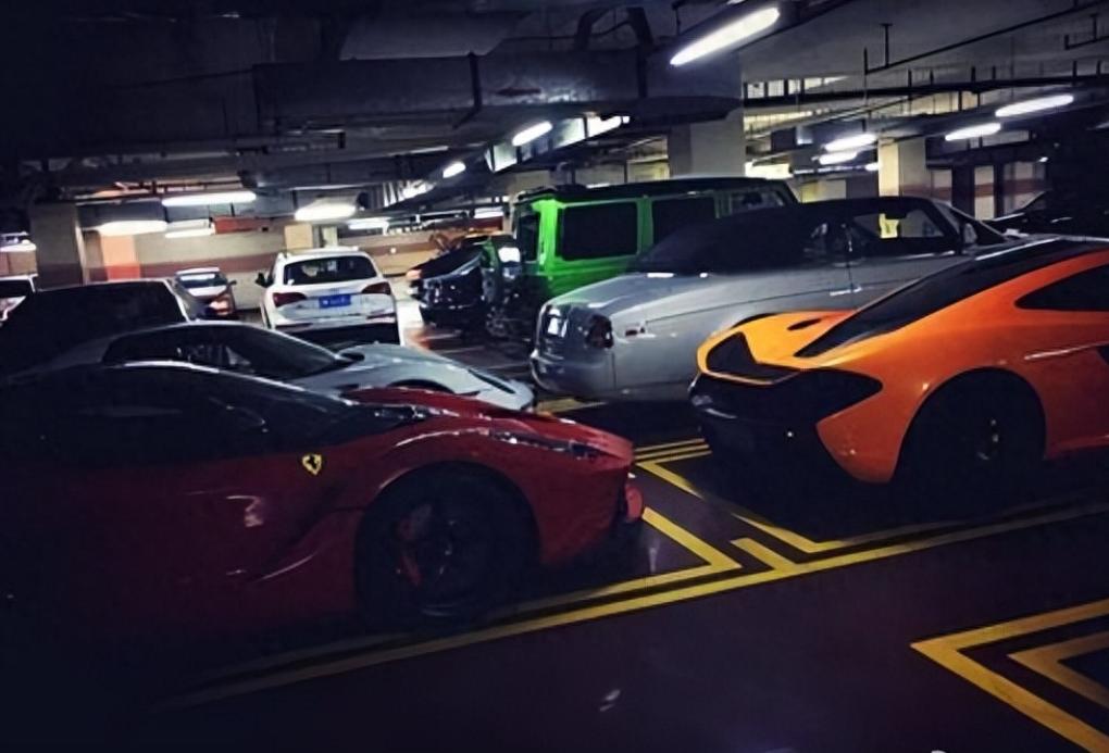 秦奋的发展历程,上海秦奋简介