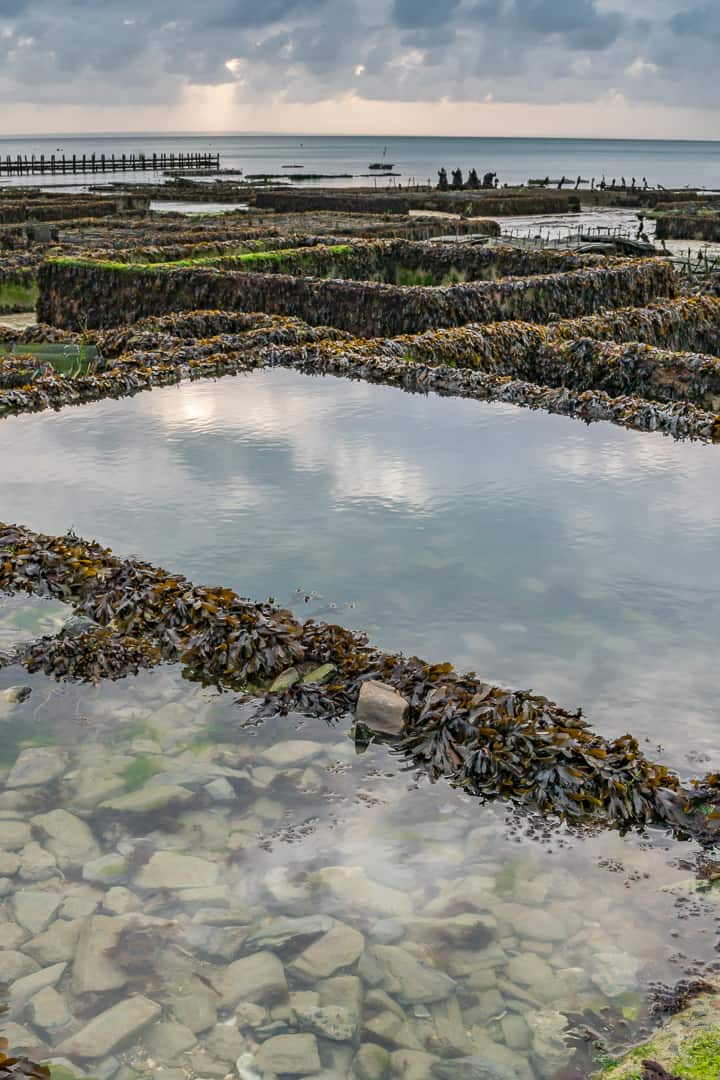 生蚝之都康卡勒：凯撒大帝太阳王拿破仑三世青睐，美味流传两千年