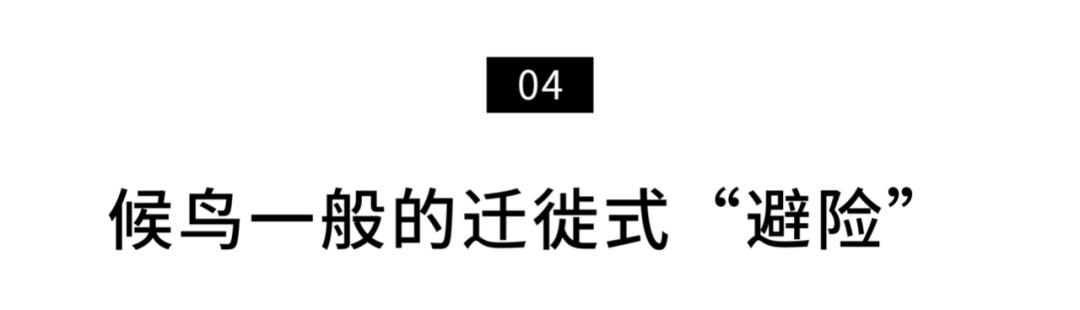 疫情下艰难生活的打工者,疫情下艰难生存的90后创业者