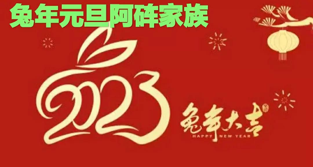 2024年迎新年活动方案,2023迎新年活动主题