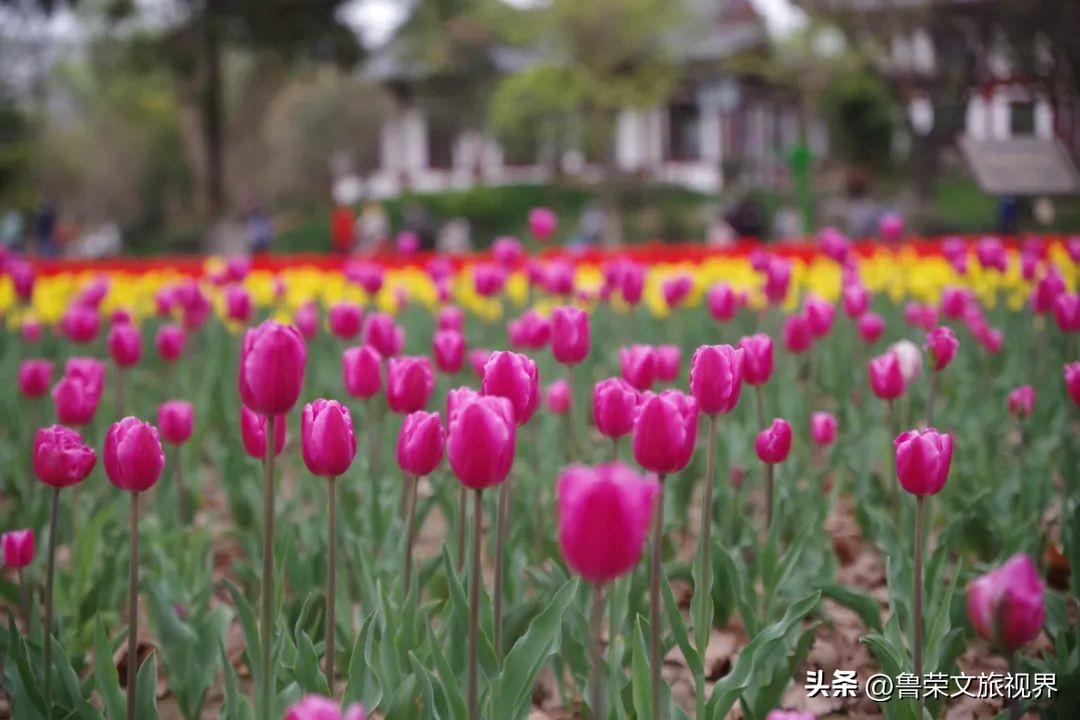 西安坐地铁旅游全攻略,西安半日游地铁