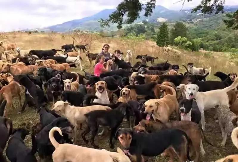 萨尔瓦多冷知识,你不知道的国家冷知识萨尔瓦多