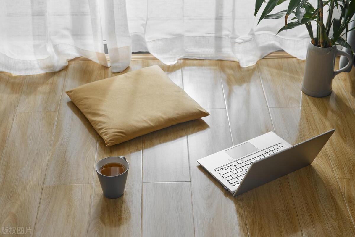 穷人养猫买必需品最省钱的方式,15个你不知道的养猫小技巧