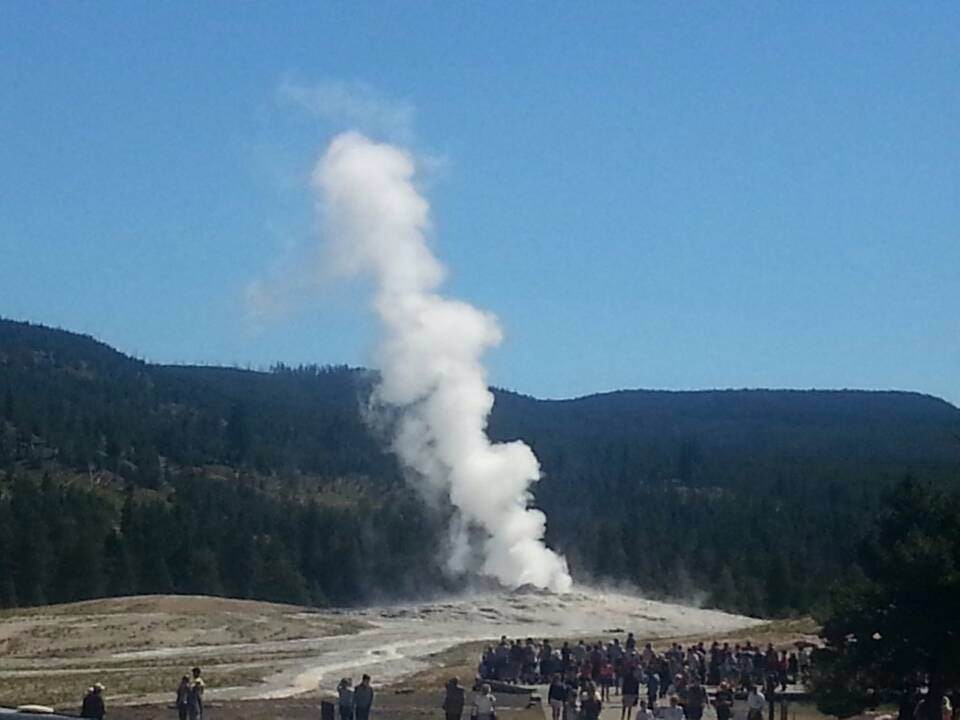 多伦多猴哥园丁视频最新一期,多伦多园丁猴嫂最新视频