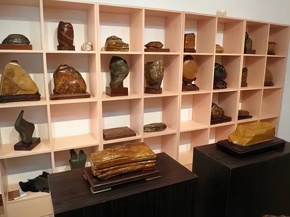 奇石长满白发的石头,1997年小伙花150元买石头专家鉴定