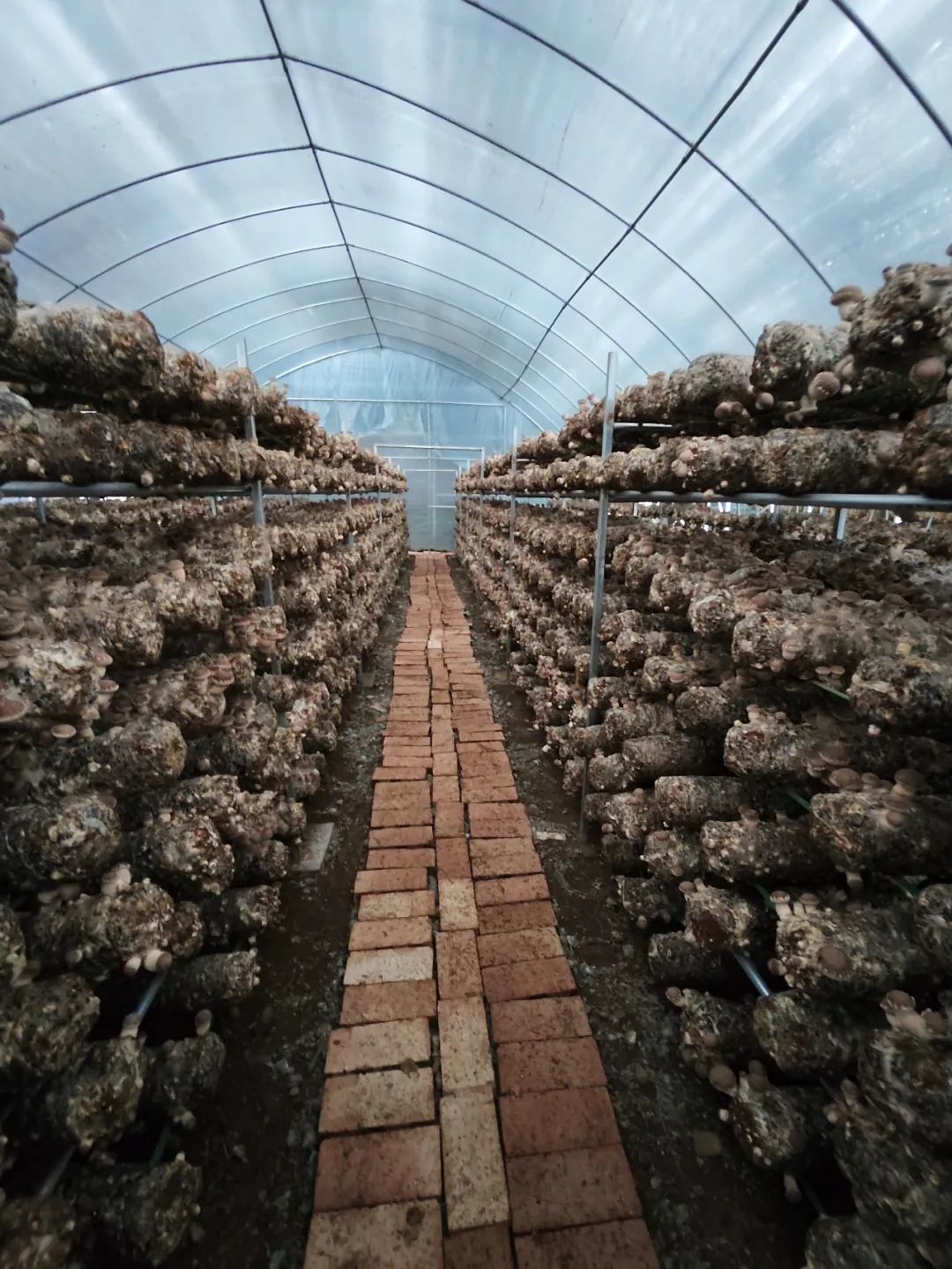 吕梁传统文化村落带动乡村振兴,加强传统村落保护与乡村振兴衔接