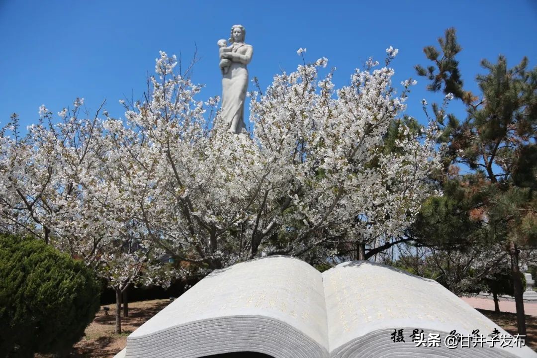 甘井子踏青,大连甘井子踏青好去处