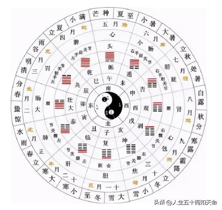 端午节祭祀屈原的来源,端午节的来源和屈原的视频