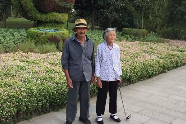 香港人寿命长秘诀,香港近30年平均预期寿命上升