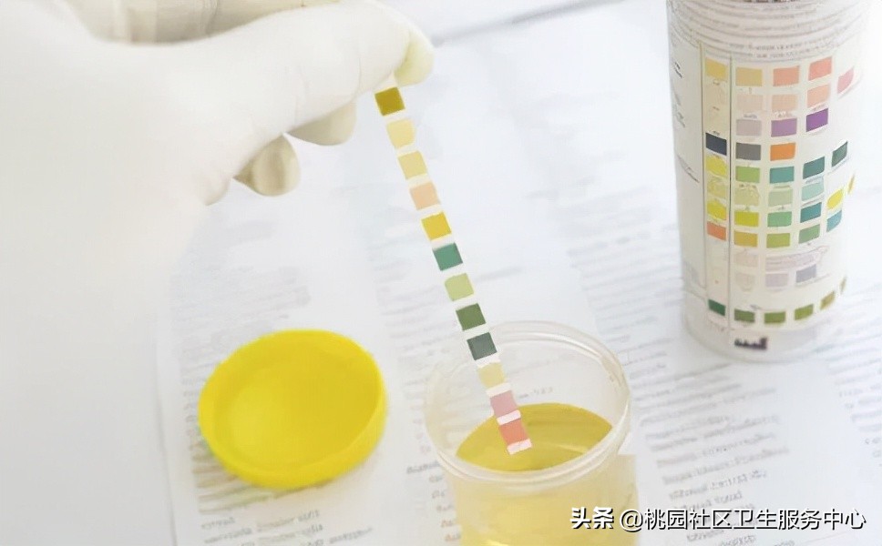 世界肾日科普视频,世界肾脏日如何养生