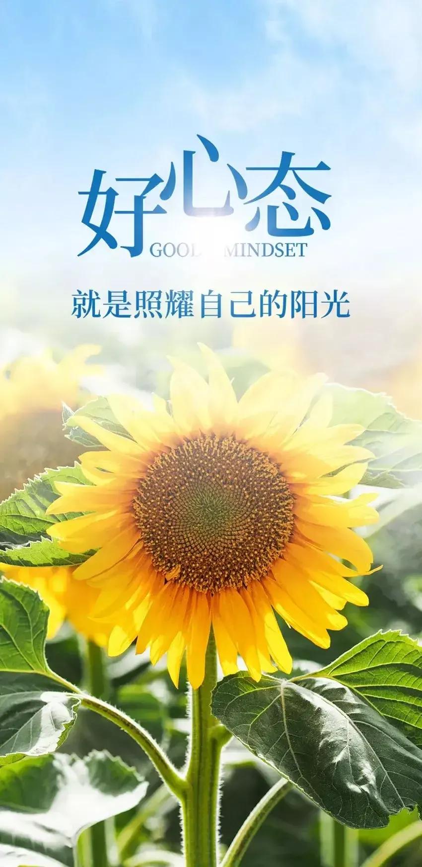 幸福不是拥有千缠万贯，而是两心相濡以沫的温暖