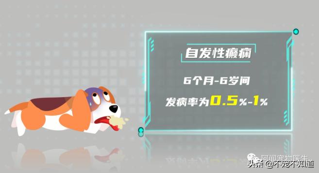 这7种行为对猫咪来说是酷刑,这6种行为在狗狗看来就像惩罚