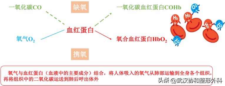 手术前8小时抽了一根烟,术前八个小时可以抽根烟么