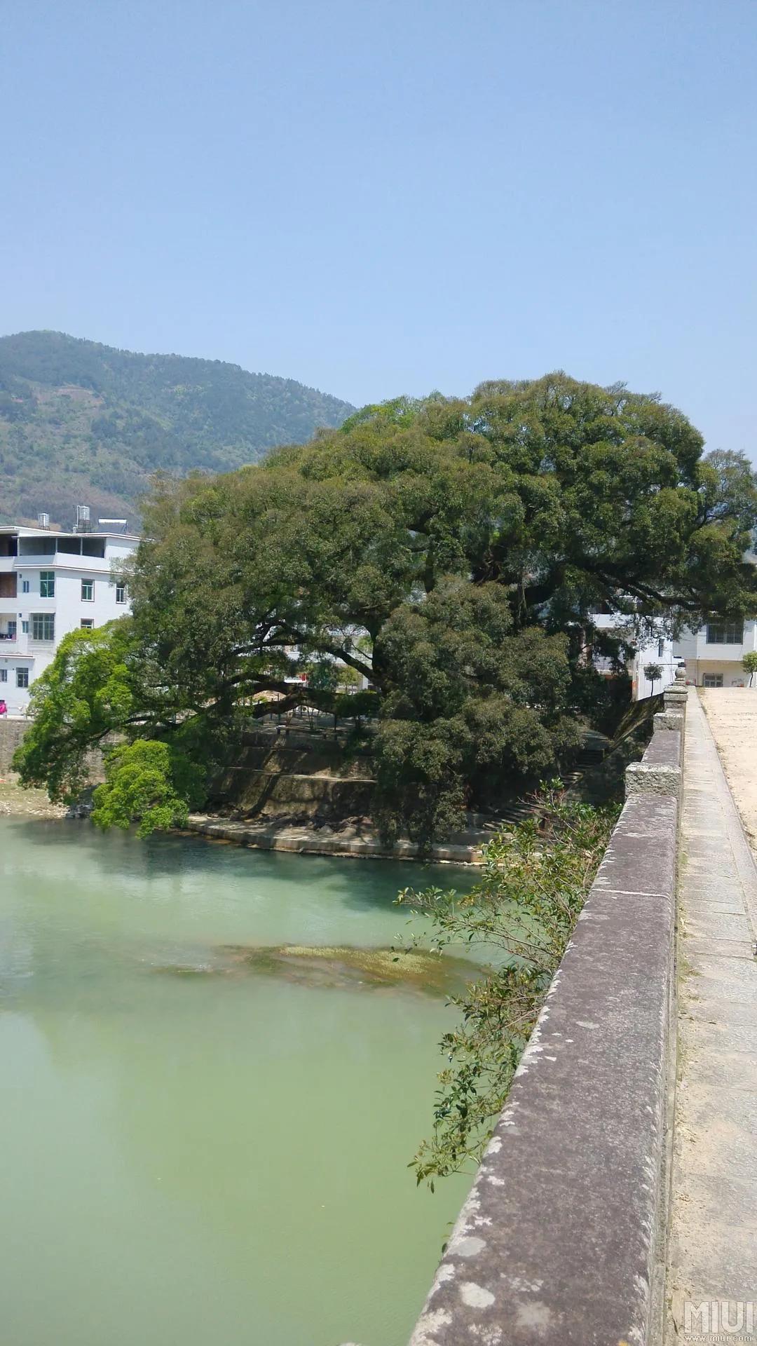 以一个农民工的资态进军头条、崛起于当代文坛。种菜致文学版