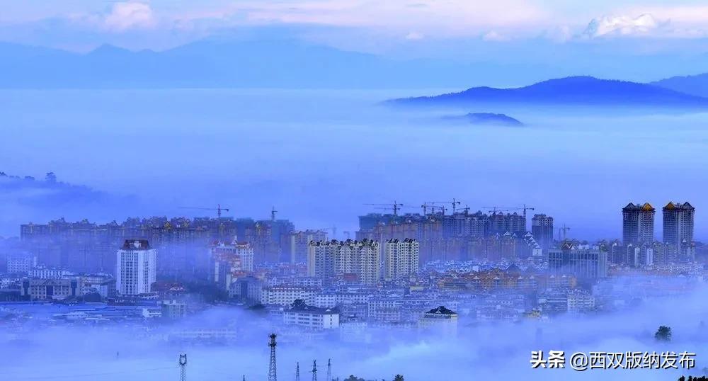 西双版纳勐海普洱茶乡,云南西双版纳勐海茗城