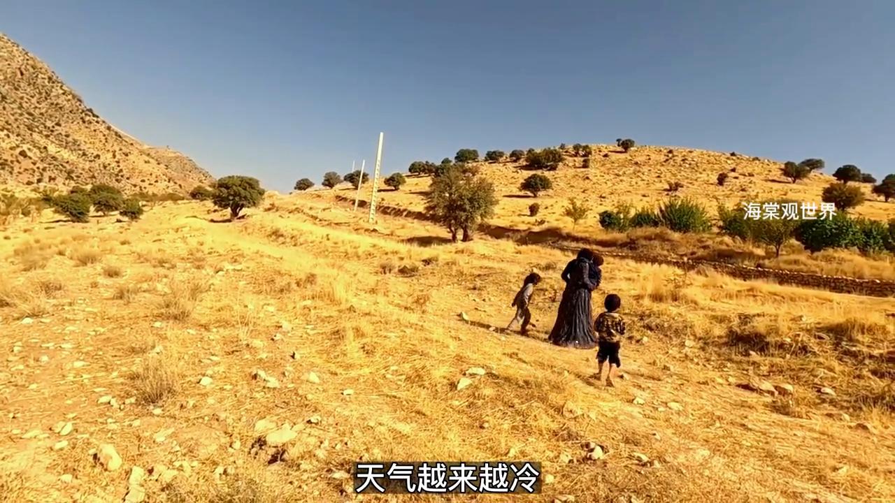 米娜婆婆找到米娜和三个孩子了吗,米娜和三个孩子大结局