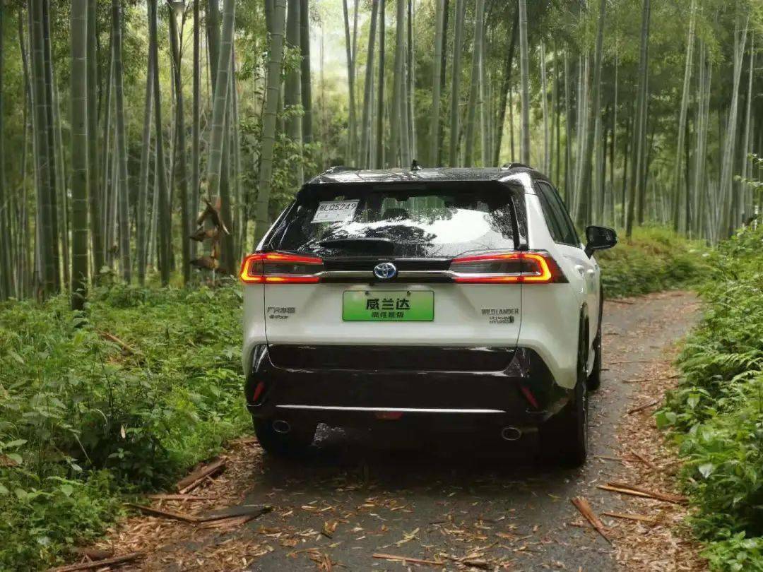 唐dmi对比威兰达混动,比亚迪唐dm-i与威兰达高性能版