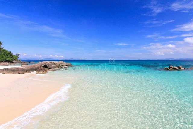 情人节女性订房数量超过男性,情人节女性订酒店金额比男性高