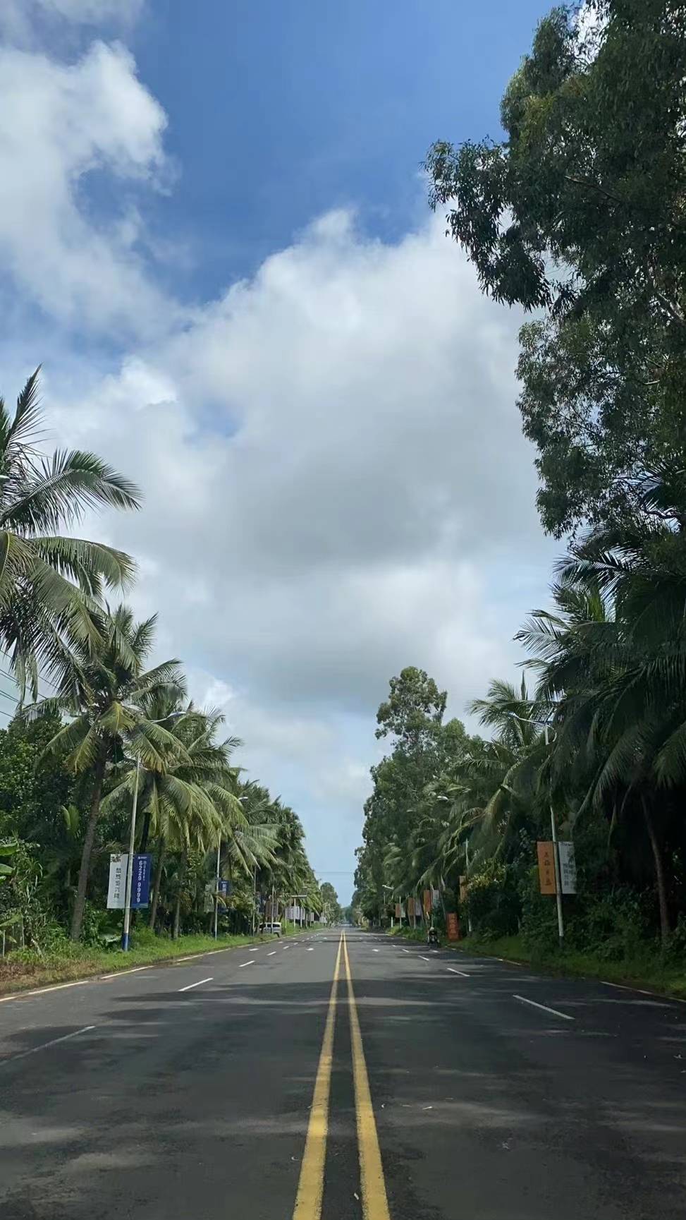 约8万游客滞留三亚旅行,旅游滞留三亚