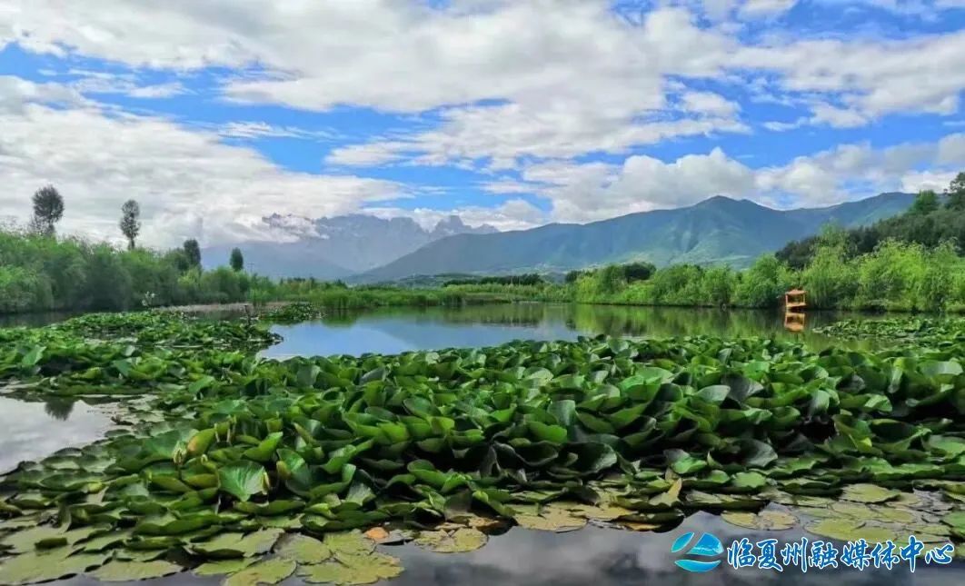 2024骞村宸磋兒閰嶈壊,缁胯壊鐨勫宸磋兒閰嶈壊