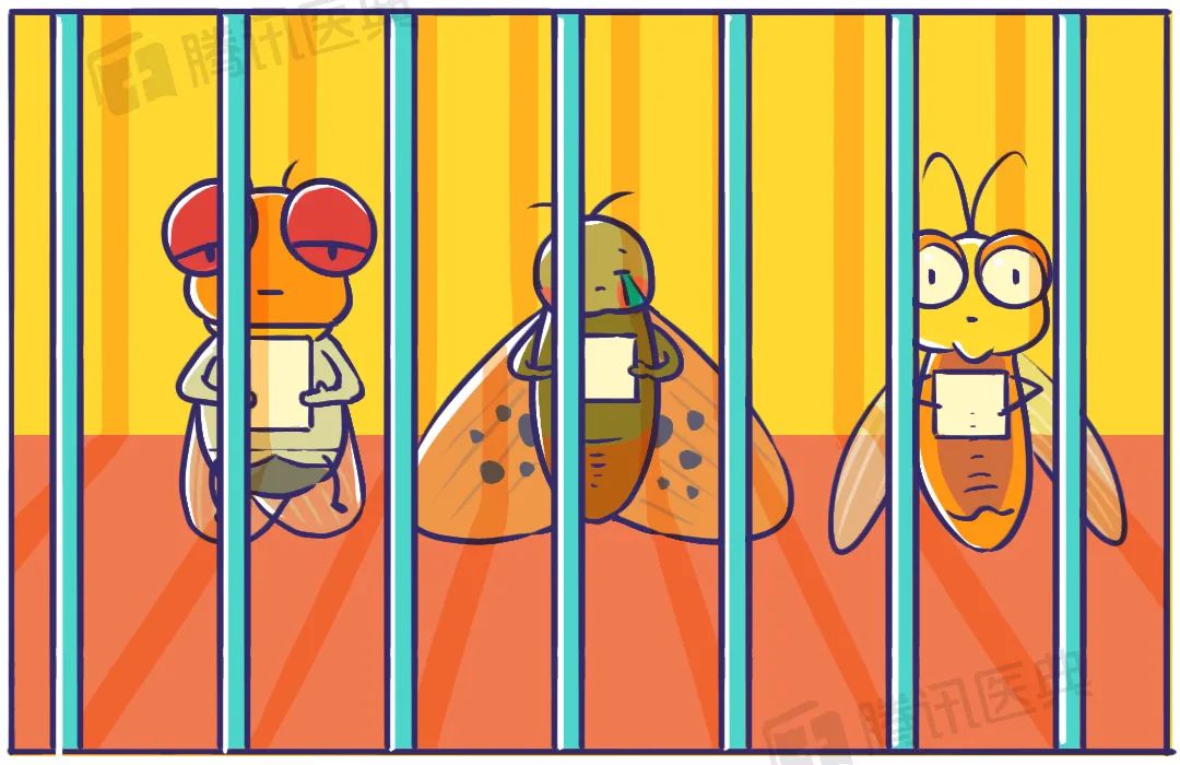 家里有很多黑色小飞虫是什么原因,家里总有黑色小飞虫怎么解决