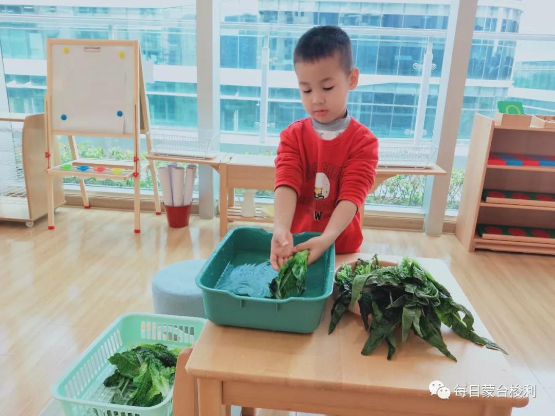 孩子窝里横外面胆小怎么解决,孩子胆小懦弱窝里横