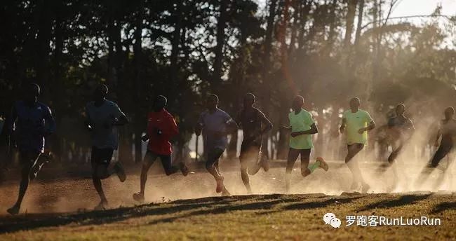 听雅尼夜莺有感,听雅尼经典音乐感想