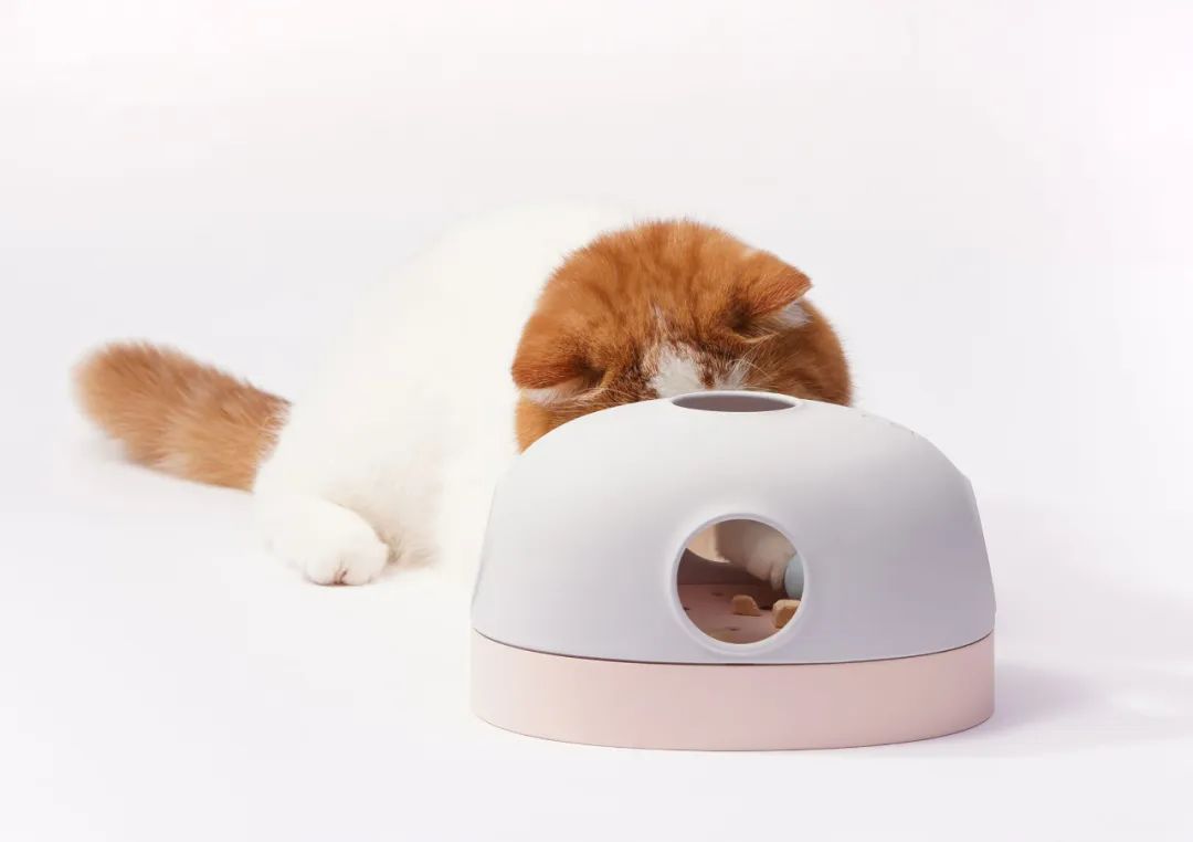 2022年iF设计奖：宠物用品类