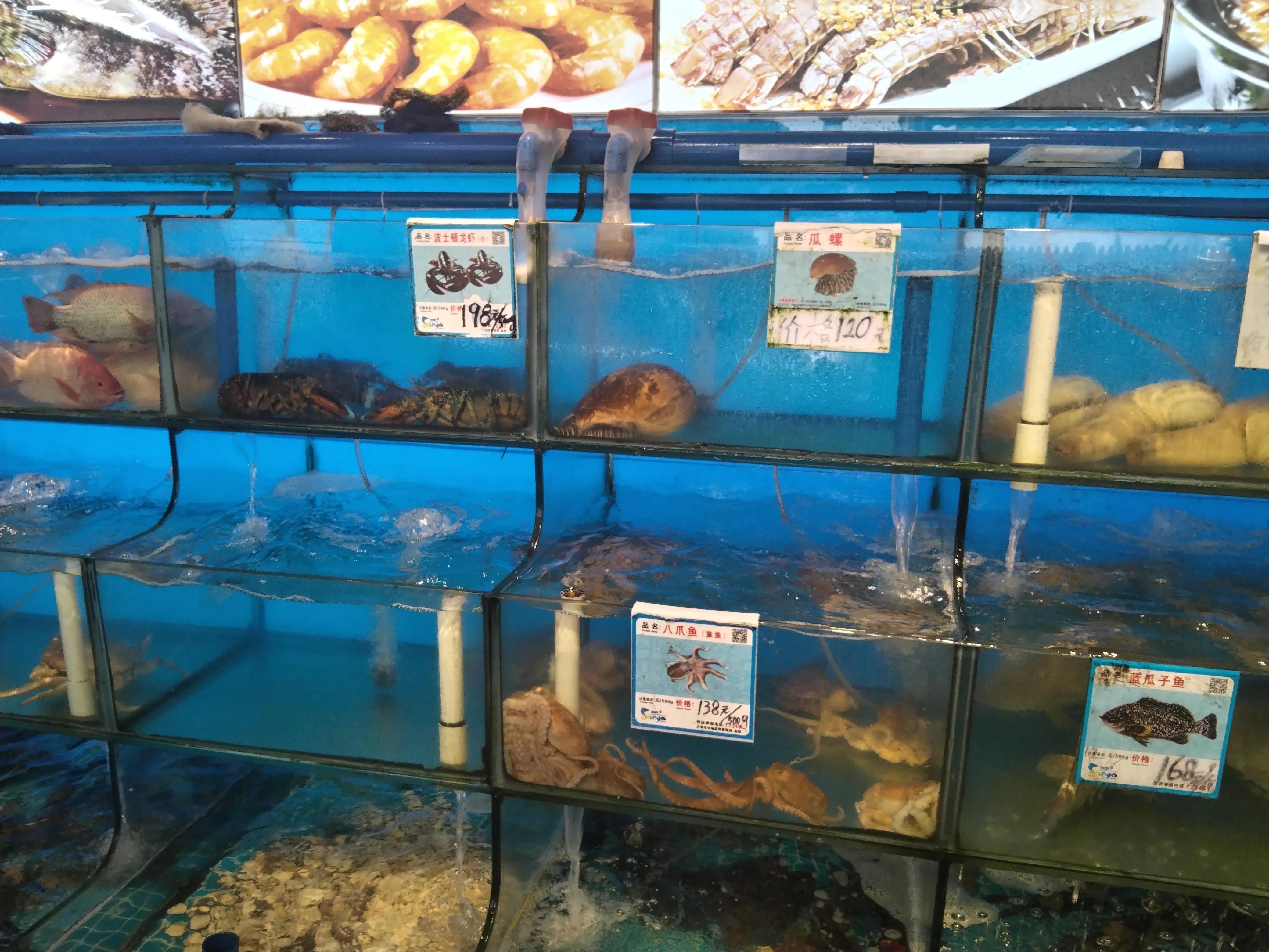 三亚海鲜哪里最便宜,三亚海鲜每日价格表