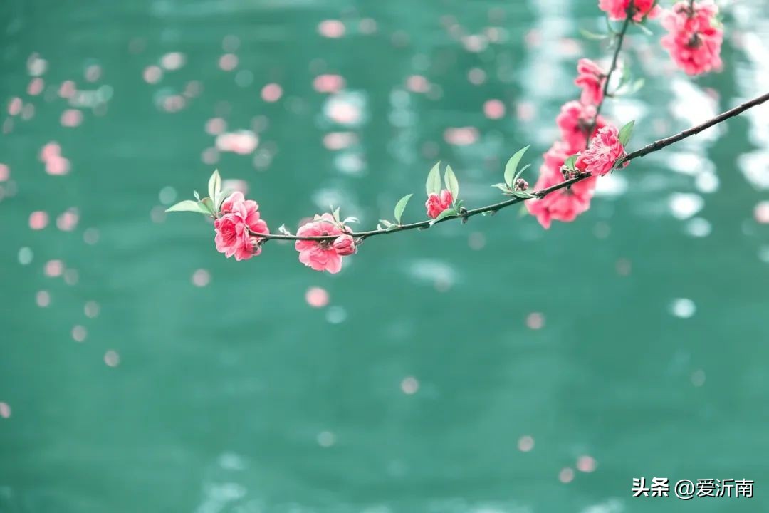 最唯美的唐诗100首,最唯美的唐诗10首