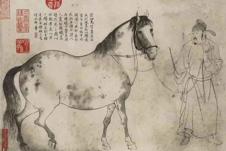 舒城县的历史人文,舒城历史纪录完整版