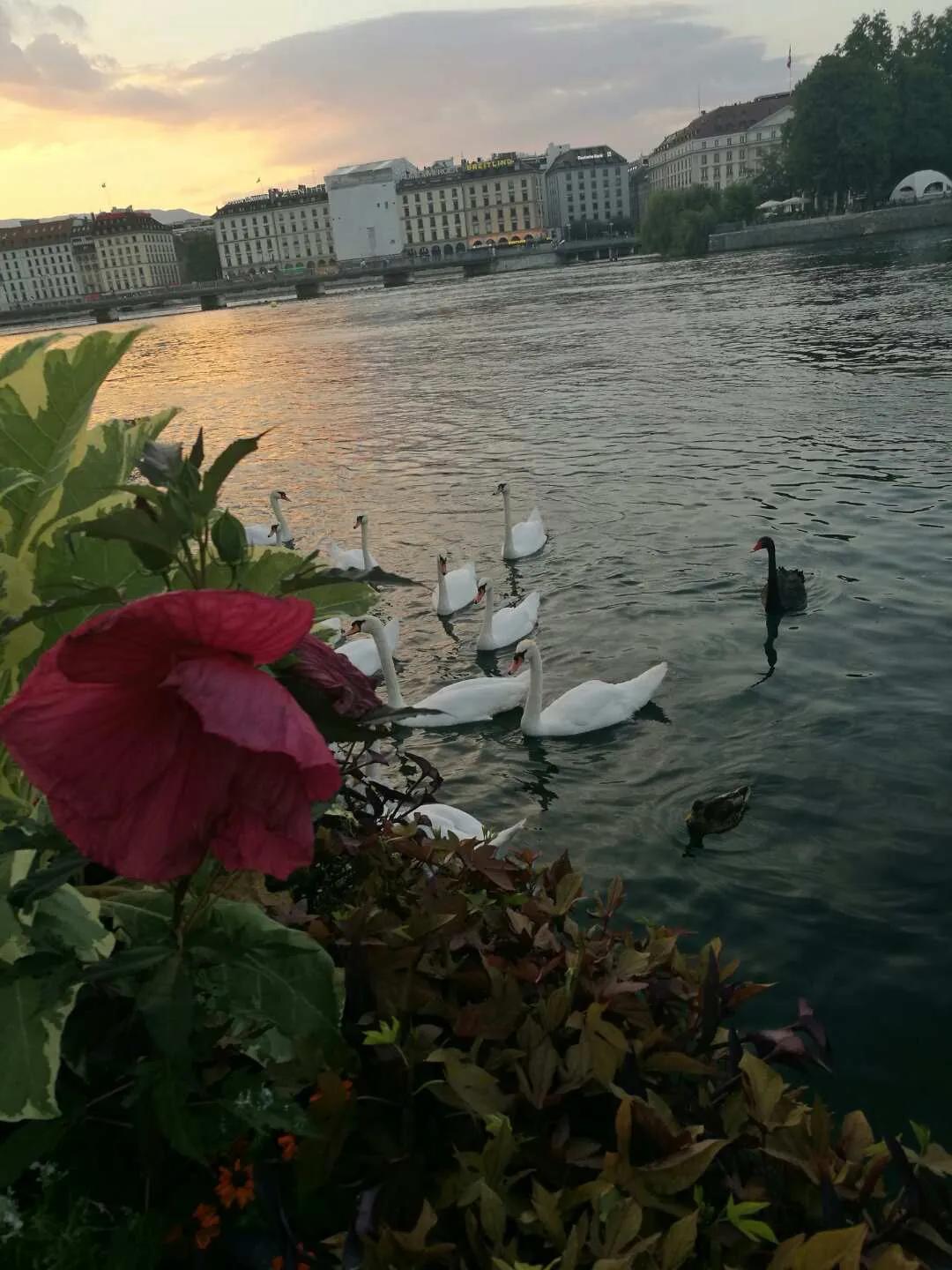 欧洲自由行慕尼黑,欧洲旅游自由行机票