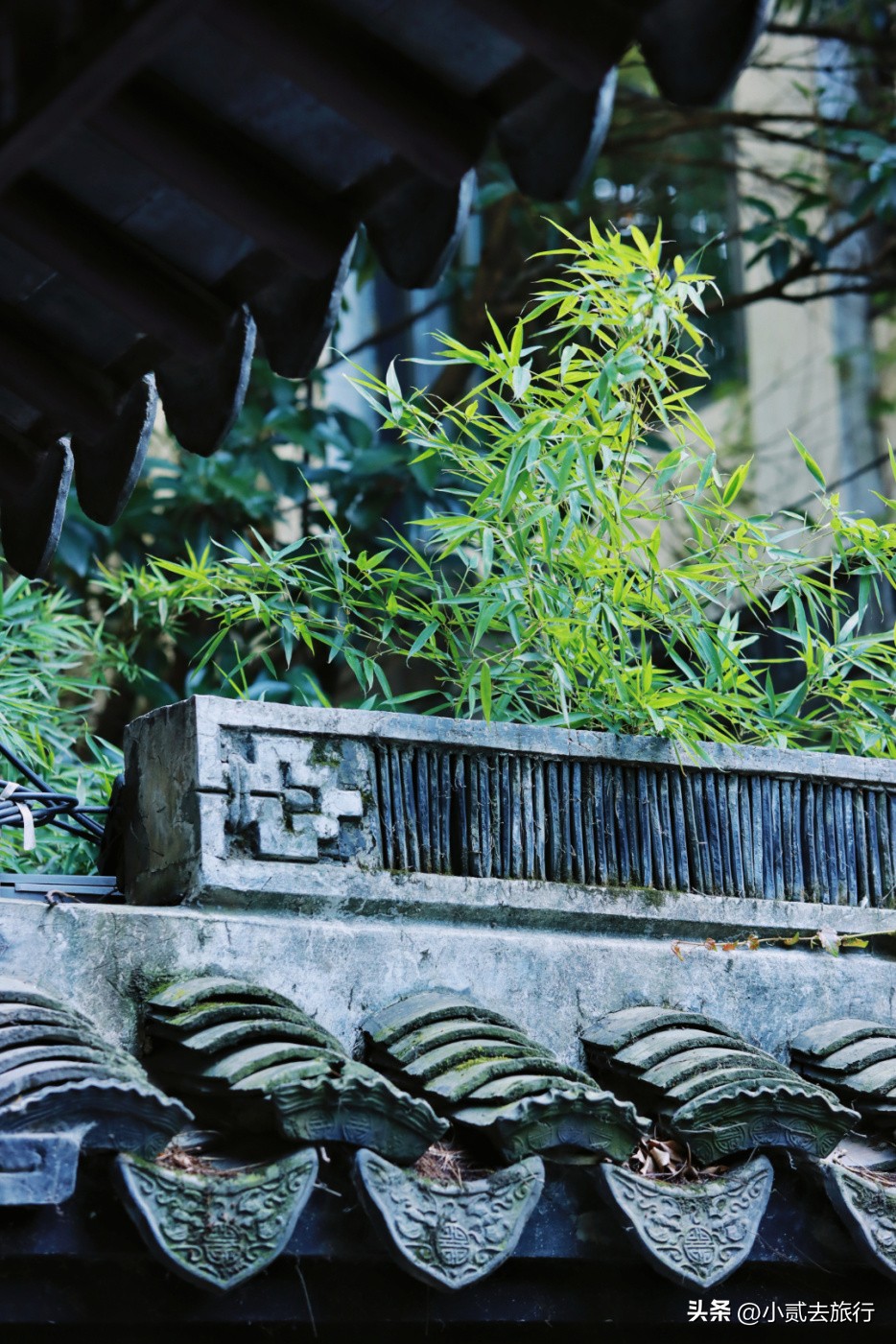 南京瞻园汉服摄影,南京瞻园园林山水布局