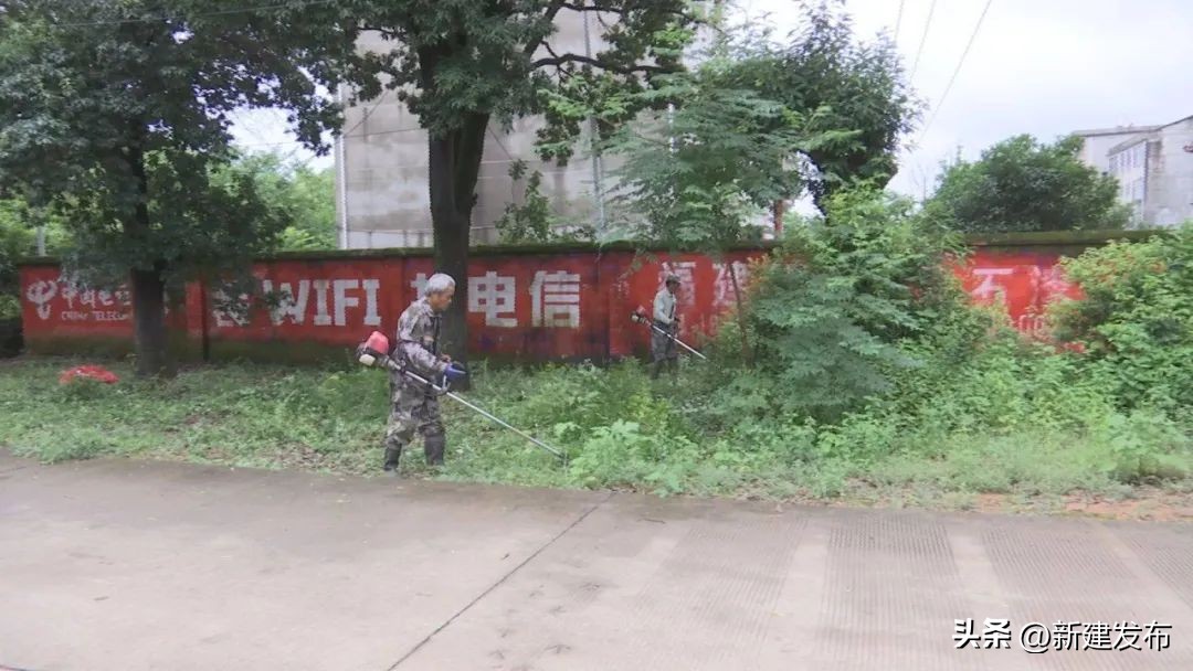 杏坪镇扎实推进农村人居环境整治,农村人居环境百日攻坚布置工作